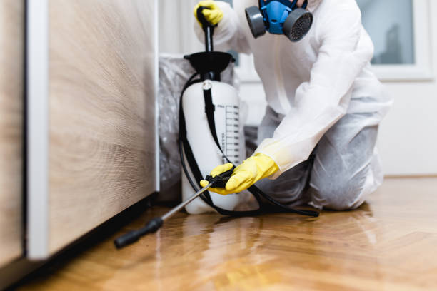 Best Pest Removal Services  in Groesbeck, TX