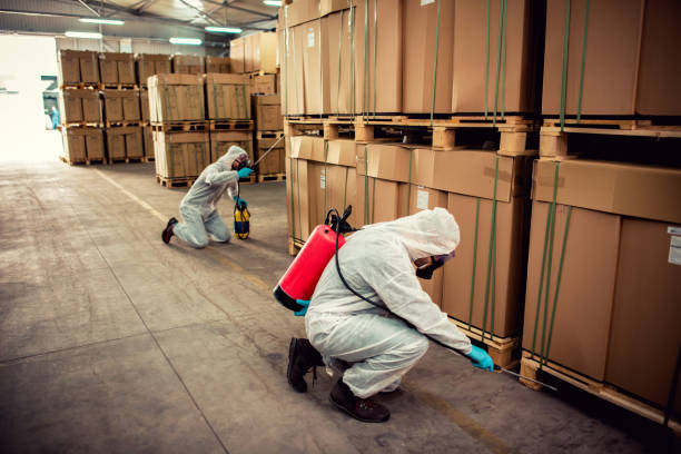 Best Pest Prevention Services  in Groesbeck, TX
