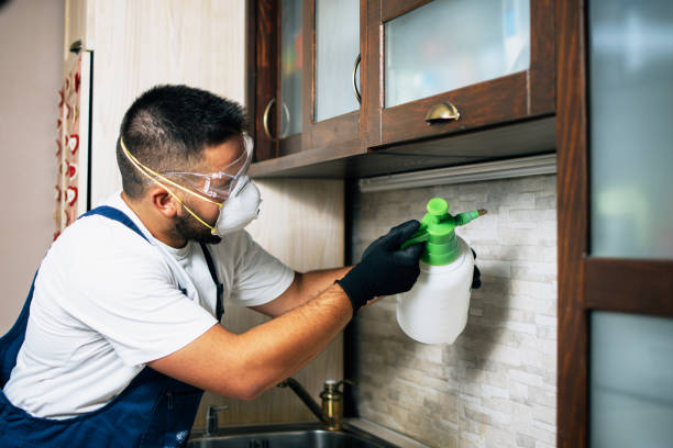 Best Insect Control  in Groesbeck, TX