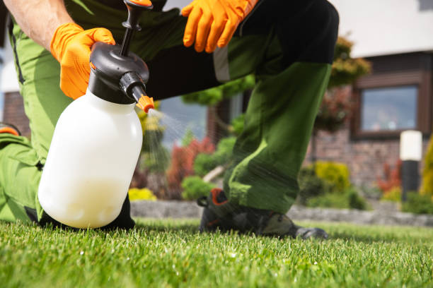 Best Exterminator Services  in Groesbeck, TX