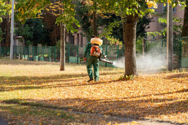 Best Local Pest Control Services  in Groesbeck, TX