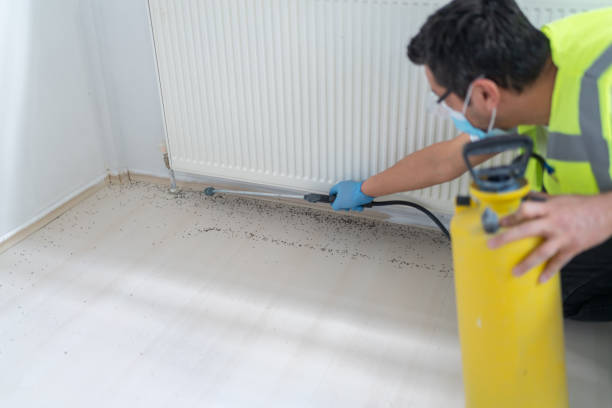 Best Emergency Pest Control  in Groesbeck, TX