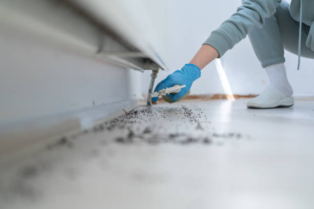 Best Pest Control Near Me  in Groesbeck, TX