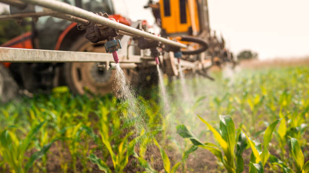 Best Mosquito Control Services  in Groesbeck, TX